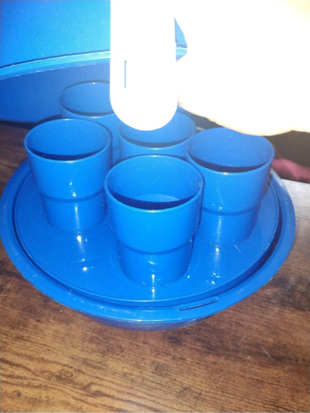 Vintage Blue Plastic Picnic Dinnerware Set with Carrying Case